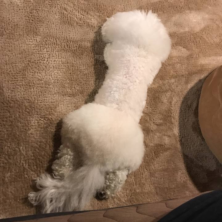 2a2c6fbe d513 4551 9f61 e6bbe4849aea 1547905975043