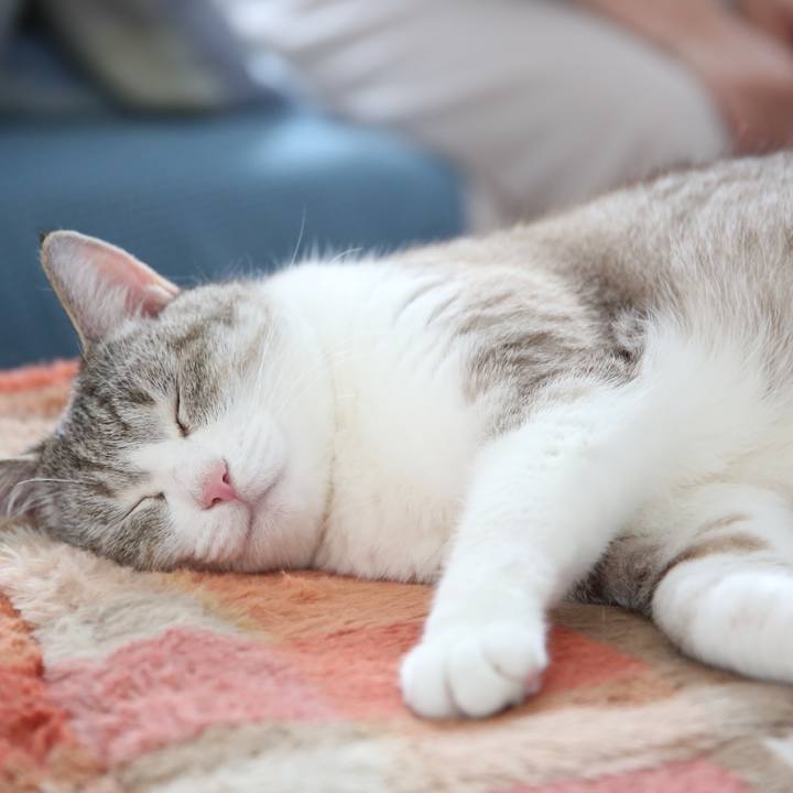 2a2c9e44 dfd1 45e9 bb6e 9cc21d85db06 1688353688587