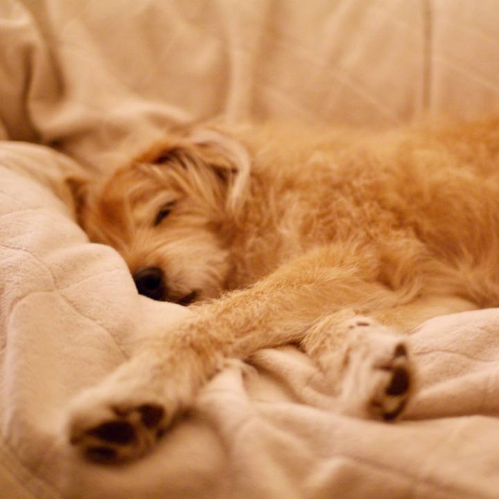 2a2cb6b0 2ae0 438f b7a2 4be875a39157 1613208244266