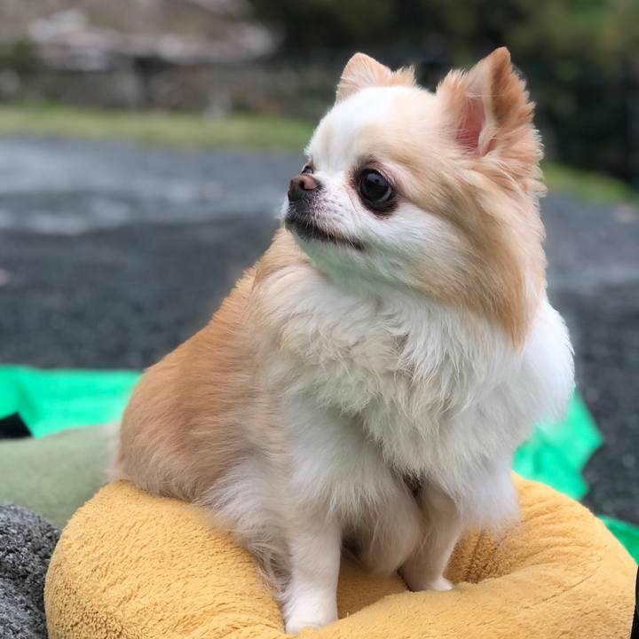 2a2cb9ea 4bdc 4f91 8eba 76f6a4323a8a 1764590235803