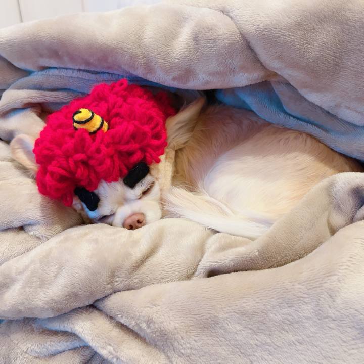 2a2cc09c 0e8a 4ae6 af3b 97630daf19ee 1706870877250