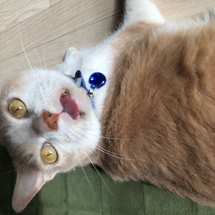 2a2cec25 343c 438c 97c5 d925234a79b8 1558165503566