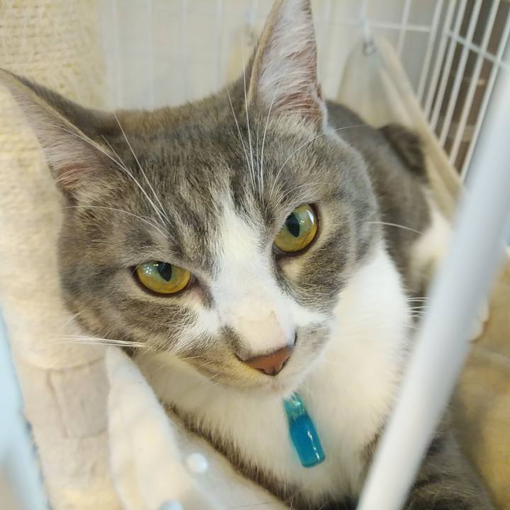 2a2d0201 80fe 47dd a959 3b954c33f212 1588722573483