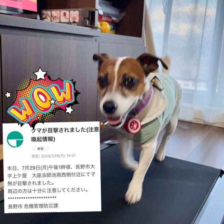 2a2d09a8 c87d 4479 b196 f8c55b423f6d 1722249710985