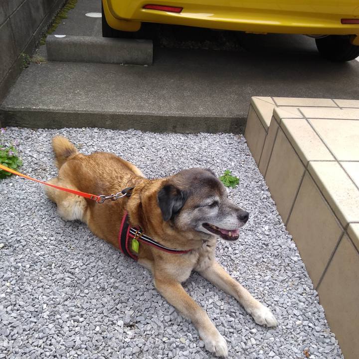 2a2d10f3 6a0f 4d89 8831 2328c00c9fa8 1559607189260