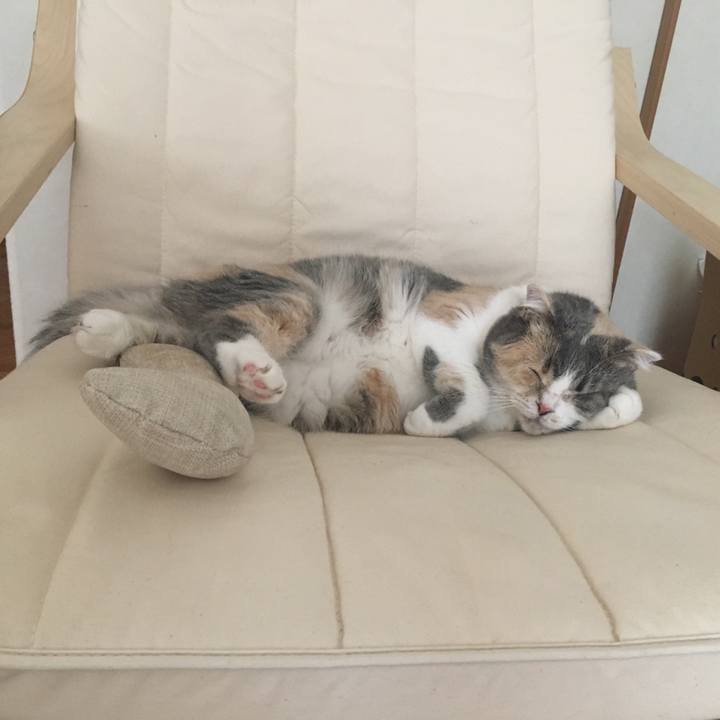 2a2d378b 8364 4958 ae52 016bb7b6321c 1538548776687