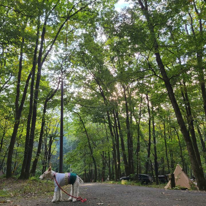 2a2d5721 d517 414d 8819 ad354bd06d5b 1666400107813