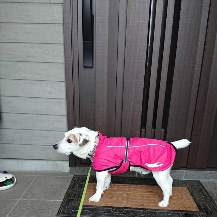 2a2d8217 13aa 44c8 ba9f dd8482bcd846 1532734330616