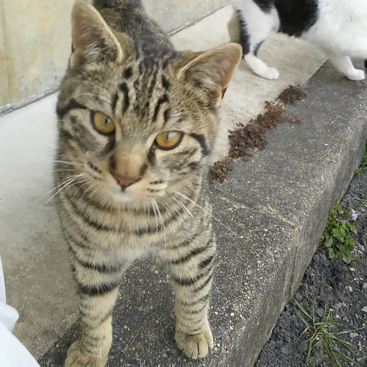 2a2d88e8 be29 4ea7 9125 27c535eaba44 1553676990587