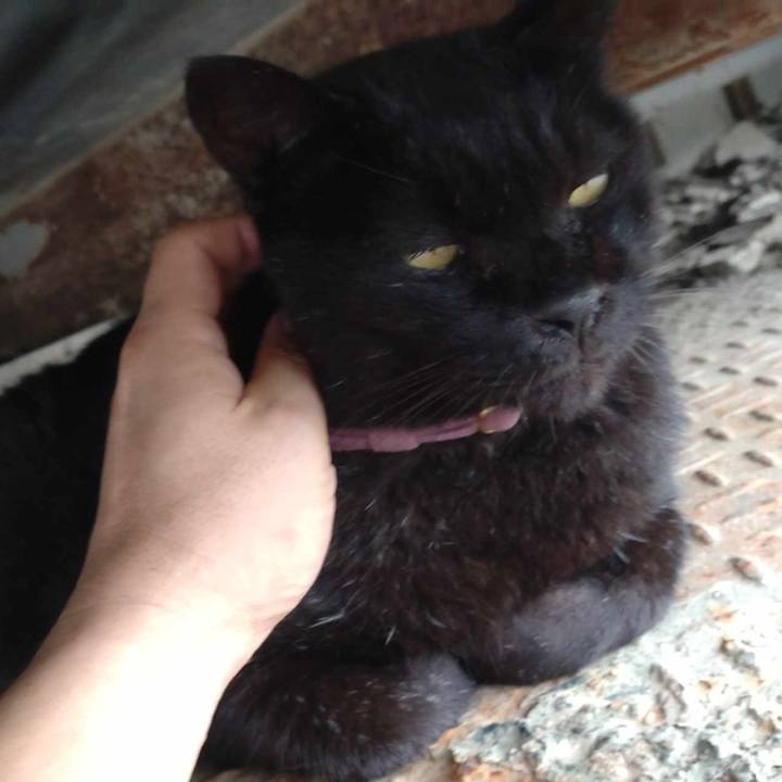 2a2d963c ca44 408a b899 02fe4ecd258d 1728263845519