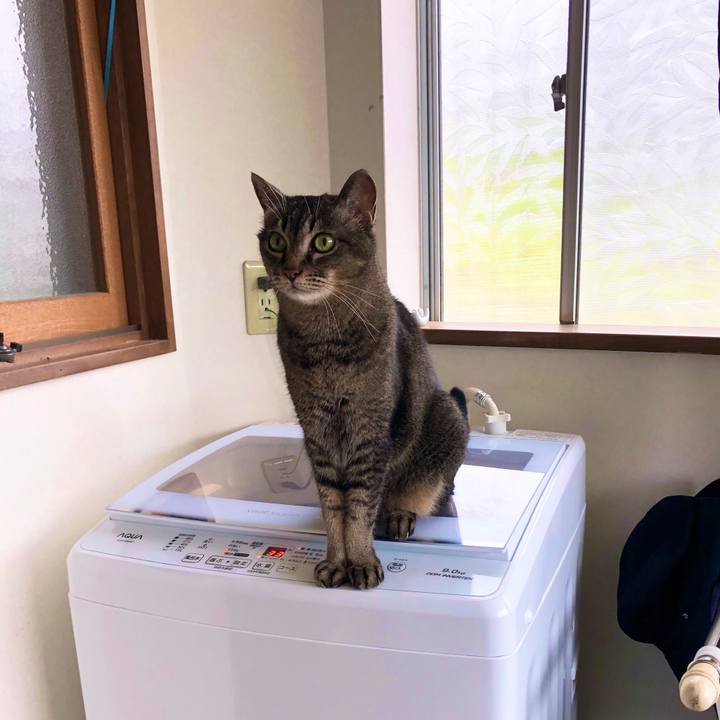 2a2e456a 6b68 431d 9e03 6ab668da1cbc 1657597323988