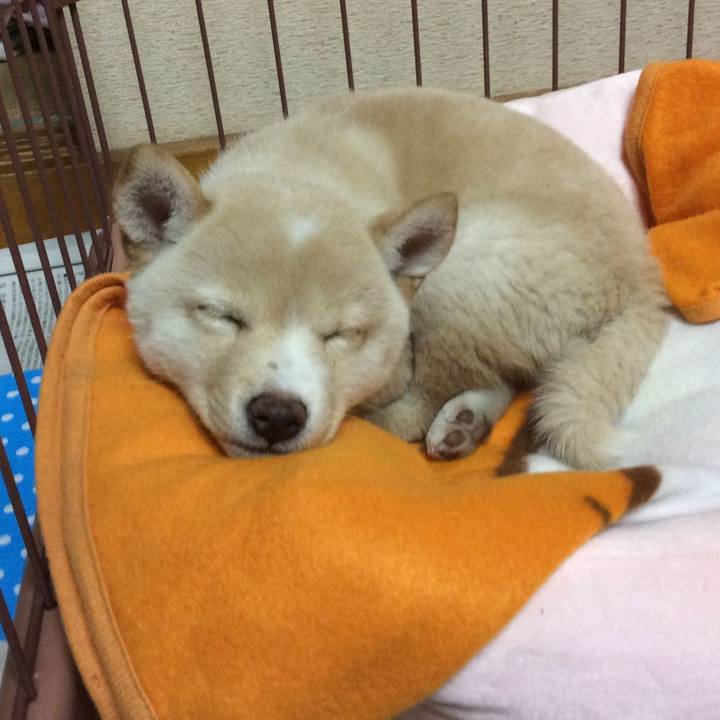 2a2e72ae 6786 4468 abf9 076ca8ac63eb 1591011871643