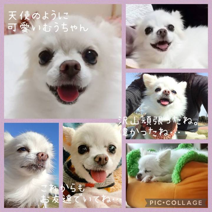 2a2e738d 4258 42c9 9893 90be1cb45a65 1688274937908