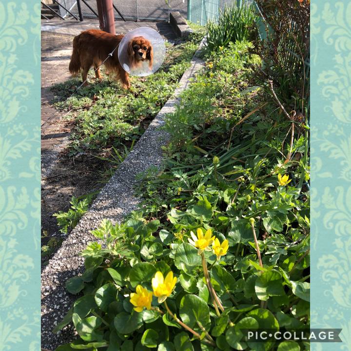 2a2e73c6 a065 4d65 b811 e1e8f81f39b1 1583543597335