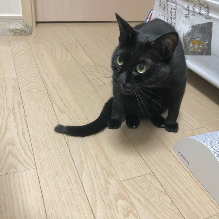 2a2eb8a4 60d6 4ad5 b6a2 8ccadae1077d 1612274453866