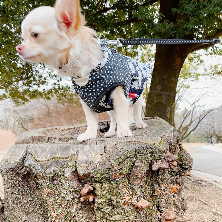 2a2eea6c 0966 40d6 94c1 9945e57342dc 1610422327124