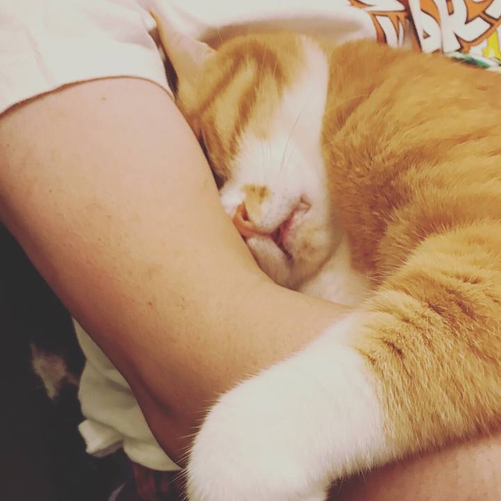 2a2eeef3 181a 44ee a2f8 82b729bb263d 1531498434808