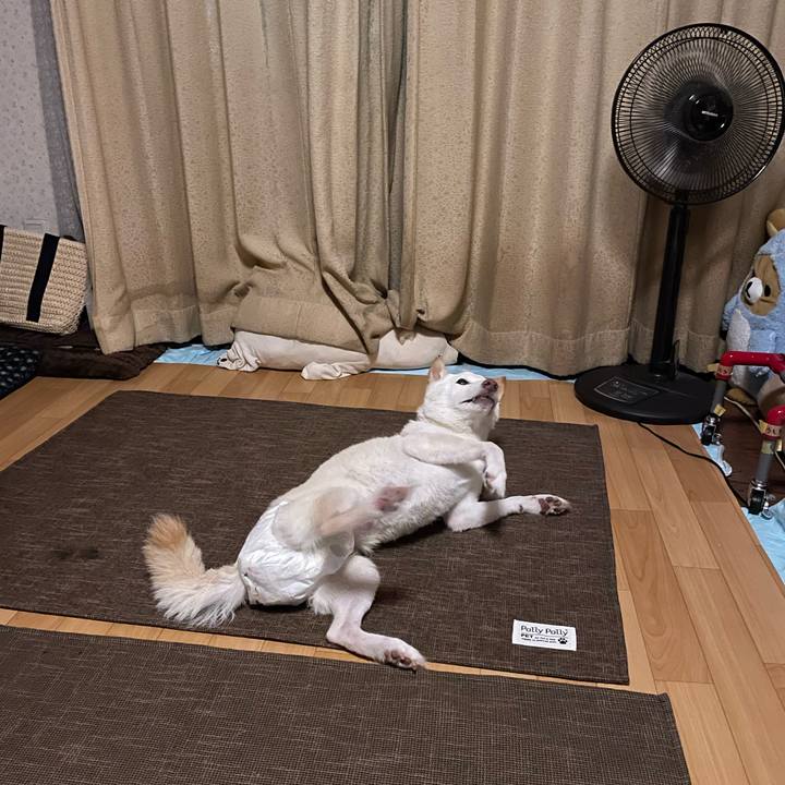 2a2f082a 9781 451a 8da2 c155641162dc 1663593249333