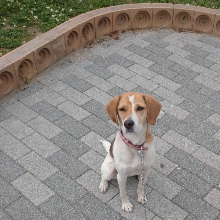 2a2f150e 4529 41e8 b4c9 3bac05c61b3f 1589523028379