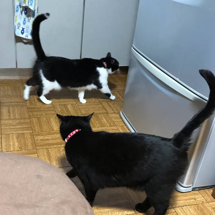 2a2f205f 2309 457d 8410 18933ff5c86a 1560677461697