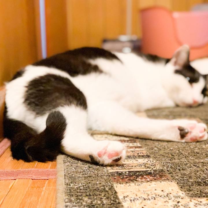 2a2f3238 d474 464b a706 52cf8c88c991 1564533976122