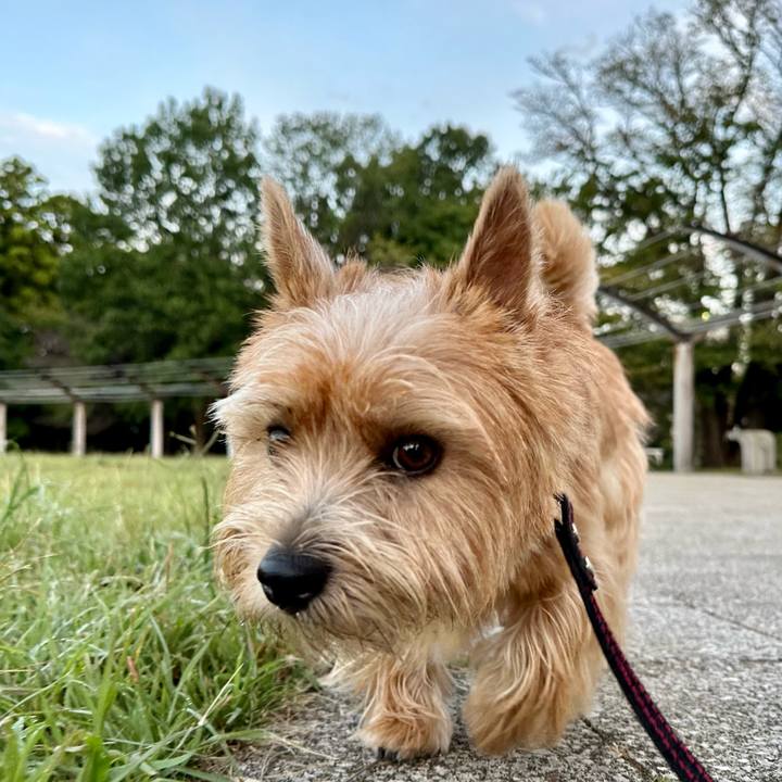 2a2f4447 cf65 453d 957a c65bff383991 1758878611559