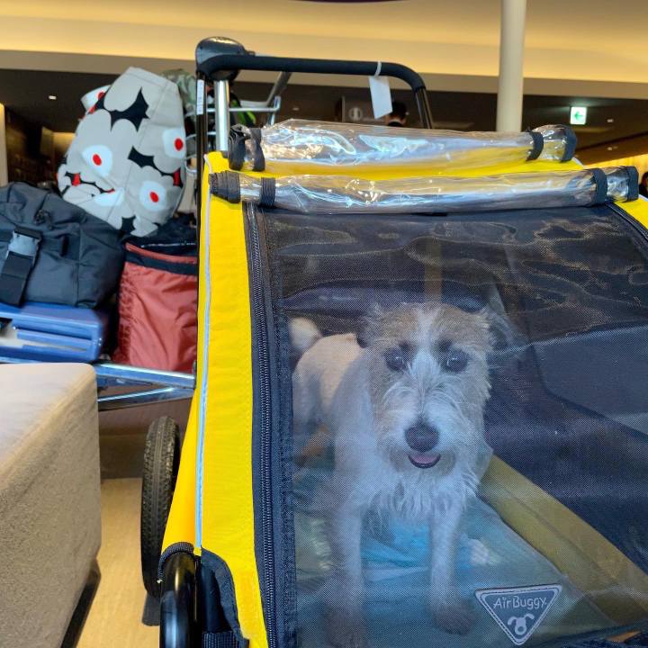 2a2f471e 1a7d 4dbd 92e8 9b497c18286c 1663073509058