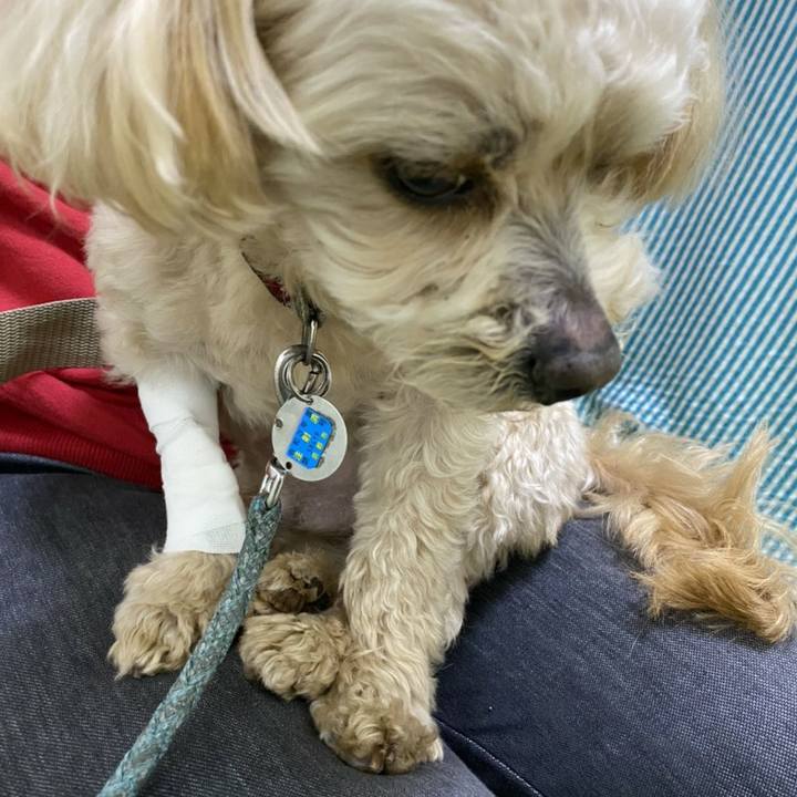 2a2f9fd2 e244 4b3d 8768 2a792c1dd4b5 1618409933603