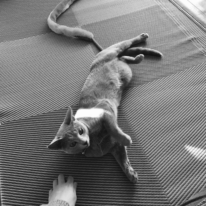 2a2fef4d 8b21 45eb 8381 64b0e0d7fbb3 1516227334613