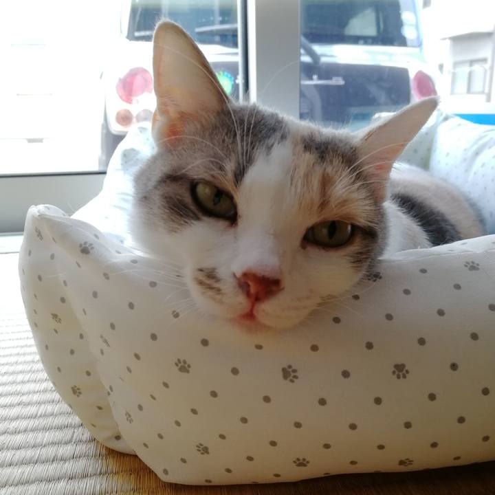 2a301b9b 10e5 42f9 bf7b faf099cf7a6f 1560250433587