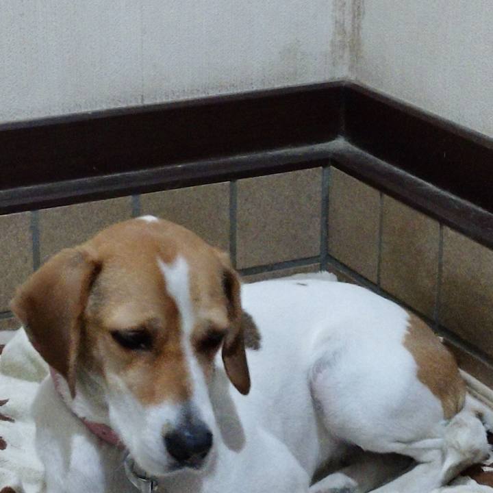 2a303a41 1083 49fc 8409 ffa16733d716 1576409643562