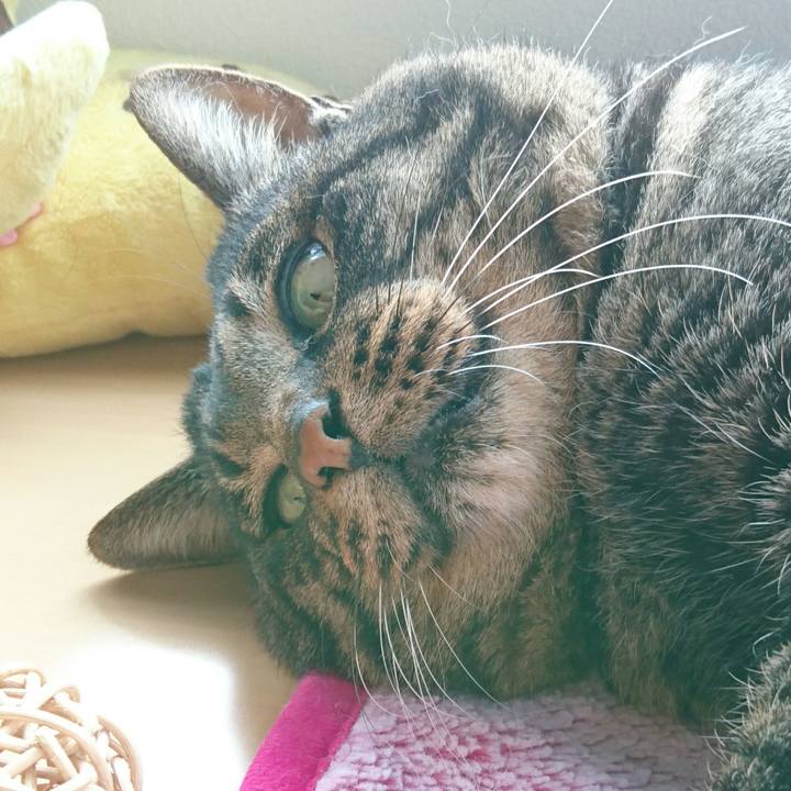 2a3082b1 d9e4 4dfa 90cb b77f8e4e8158 1512855677181