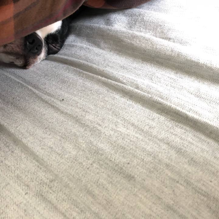 2a30b763 4550 44e0 bf7d d6f025df0485 1519868799651