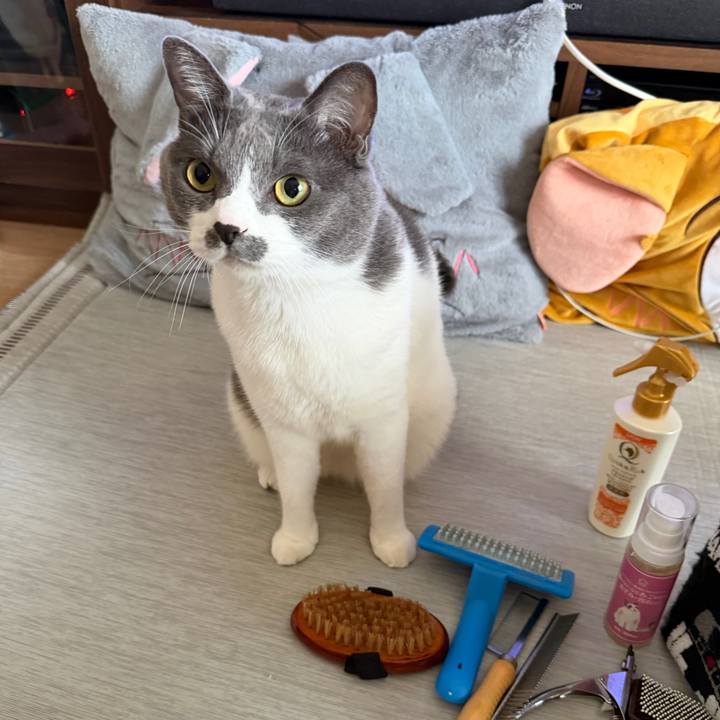 2a30bced f85e 450e 94df b284271de8f4 1761446978624