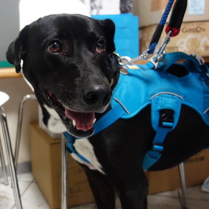 2a30eb8f fd2d 47fd 8bee a50539b35d13 1612523037636