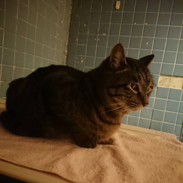 2a30fb10 2f78 4622 861b d993f41c7a3c 1644745547991