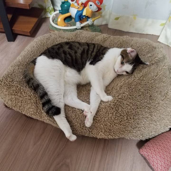 2a3107ca 8c22 42a6 8ede 671e61015333 1607895619486