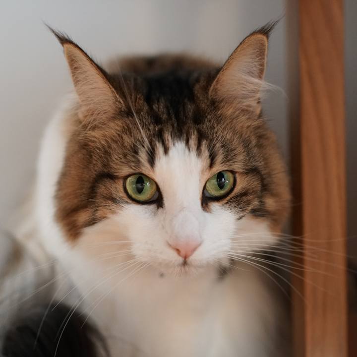 2a31259d 9e93 4853 b239 f1b1fa559ace 1573118008920