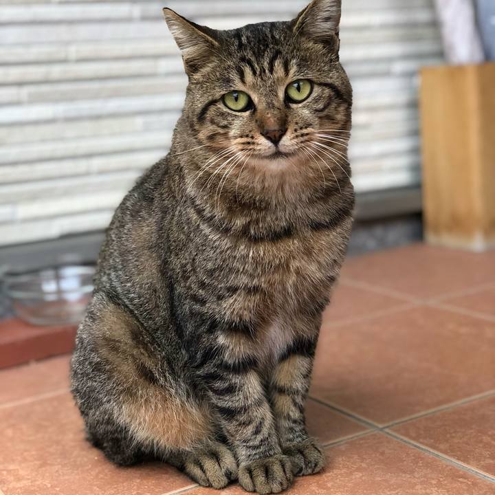 2a312cd6 3676 4158 9b36 d73b25e26ee1 1763092903297