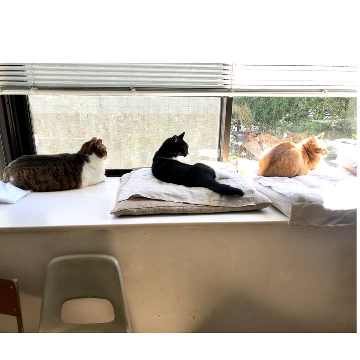 2a315988 2bc8 4493 805f 763b461aa01a 1554267239129