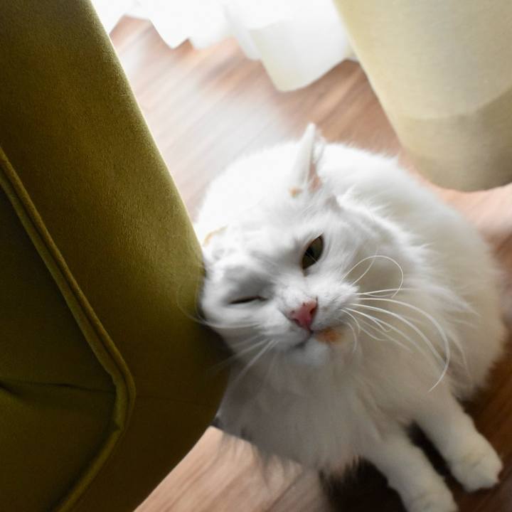 2a318644 6c4f 42fd 9397 4fb3bdc8a1ae 1766976395154