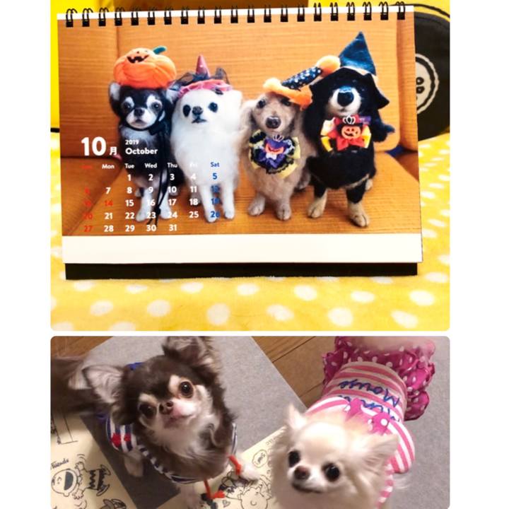 2a31b492 03be 4c23 9b43 590b7fac7911 1570104554138