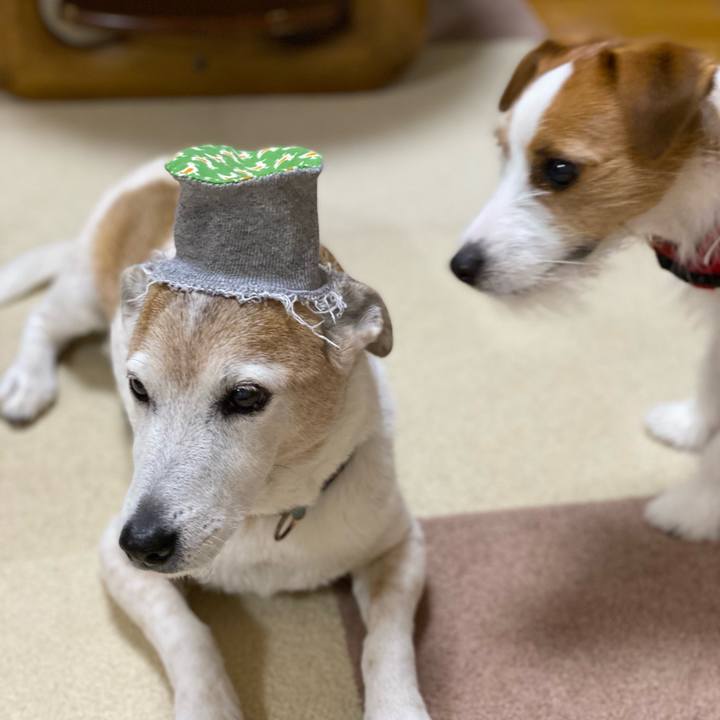 2a32383f 13f8 494e a956 c0ebf32d1af2 1644746012662