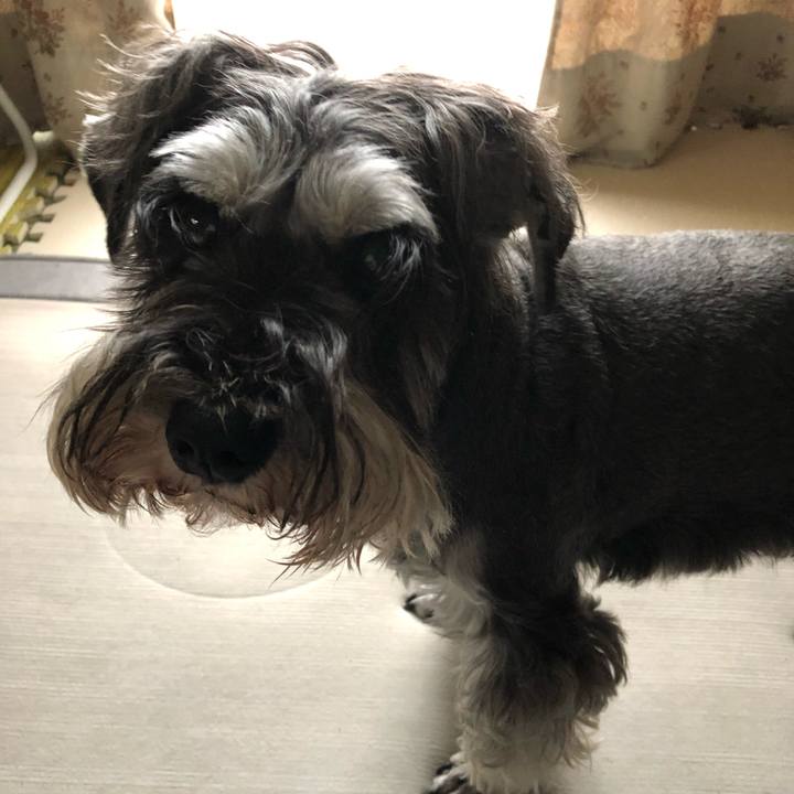 2a323e47 6693 46ee 9259 6416910ab291 1593829935299