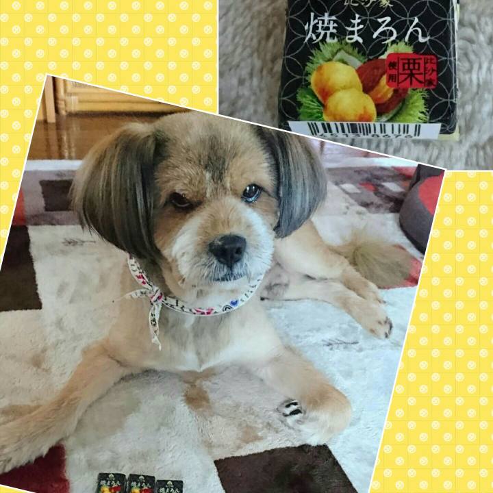 2a324914 a1cf 441c b7d8 868e4b6a6922 1540368355452