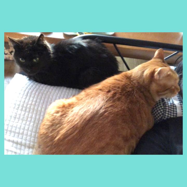 2a32632d 32d8 40f8 9953 5cc2168dc12e 1584442829407