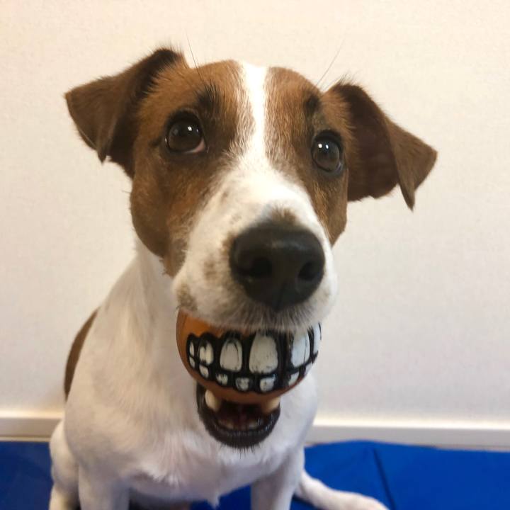 2a327577 ef84 40e1 9d4f 3603d7061055 1561984953072