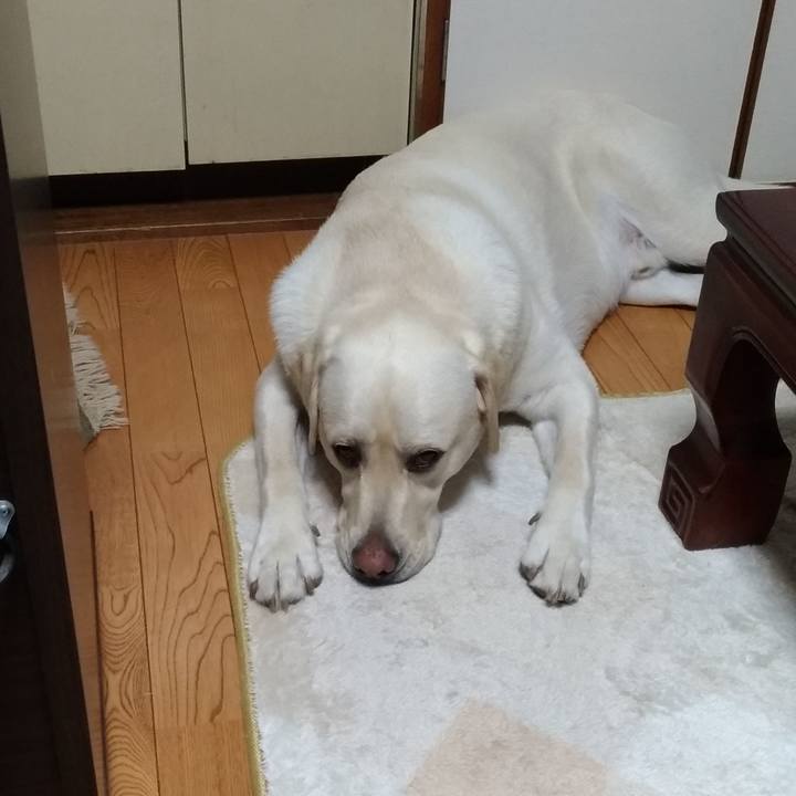 2a329deb 9742 48bc bf58 fbac346a1d77 1527258844184