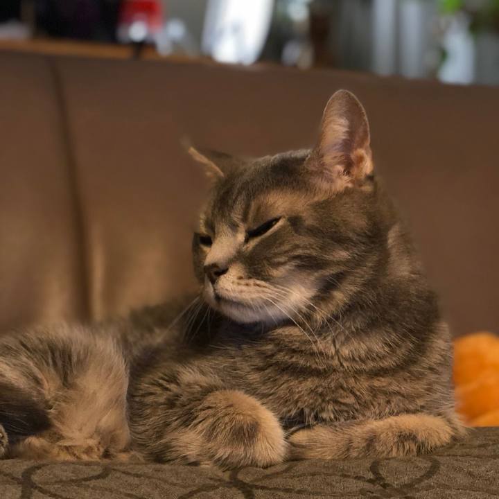 2a32a7f5 f0c8 4adb 95eb 7381365374d4 1557403095890