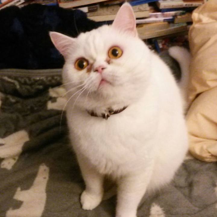 2a32ceb8 aaba 4dac a570 6256364310c4 1563662663696